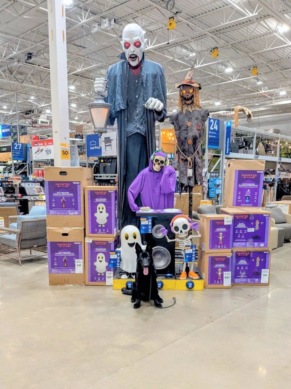 Black shepherd sitting in a store aisle