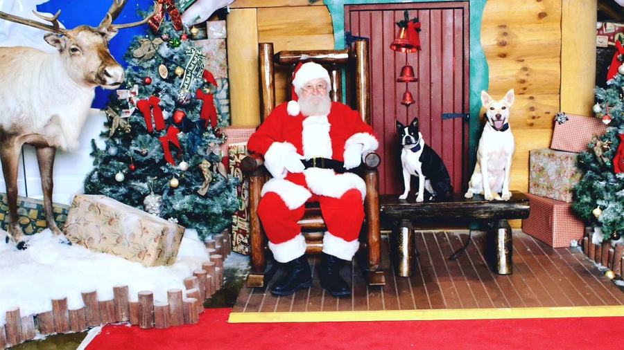 Group photo with Santa hats at Christmas